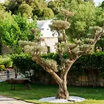 Odette بودروم