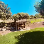 Odette فندق مبيت وإفطار بودروم