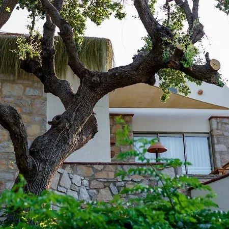 Odette Bodrum