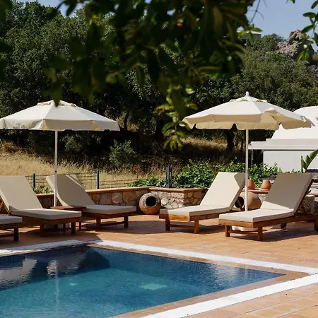 Odette Bed & Breakfast