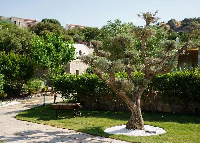 Bed and breakfast Odette