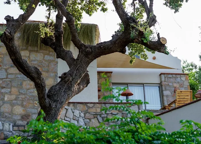 Odette Bodrum